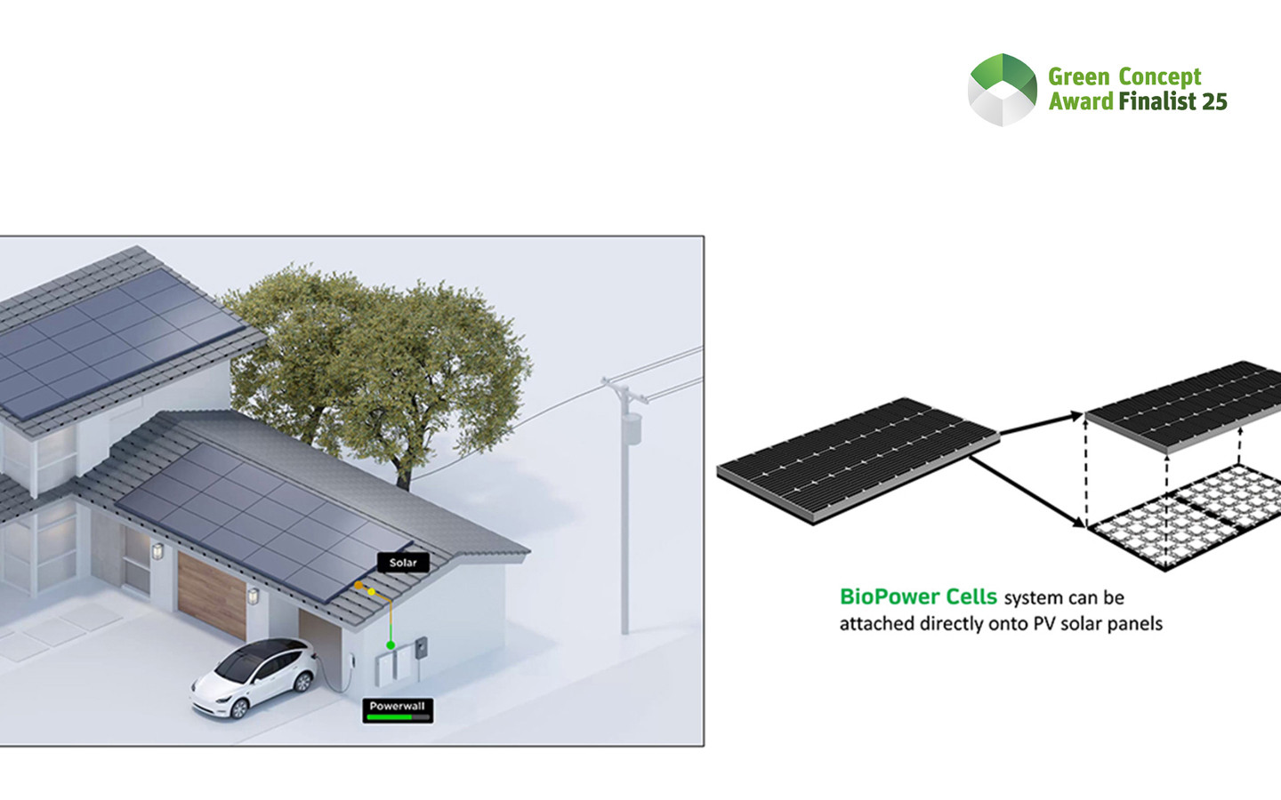 BioPower Cell