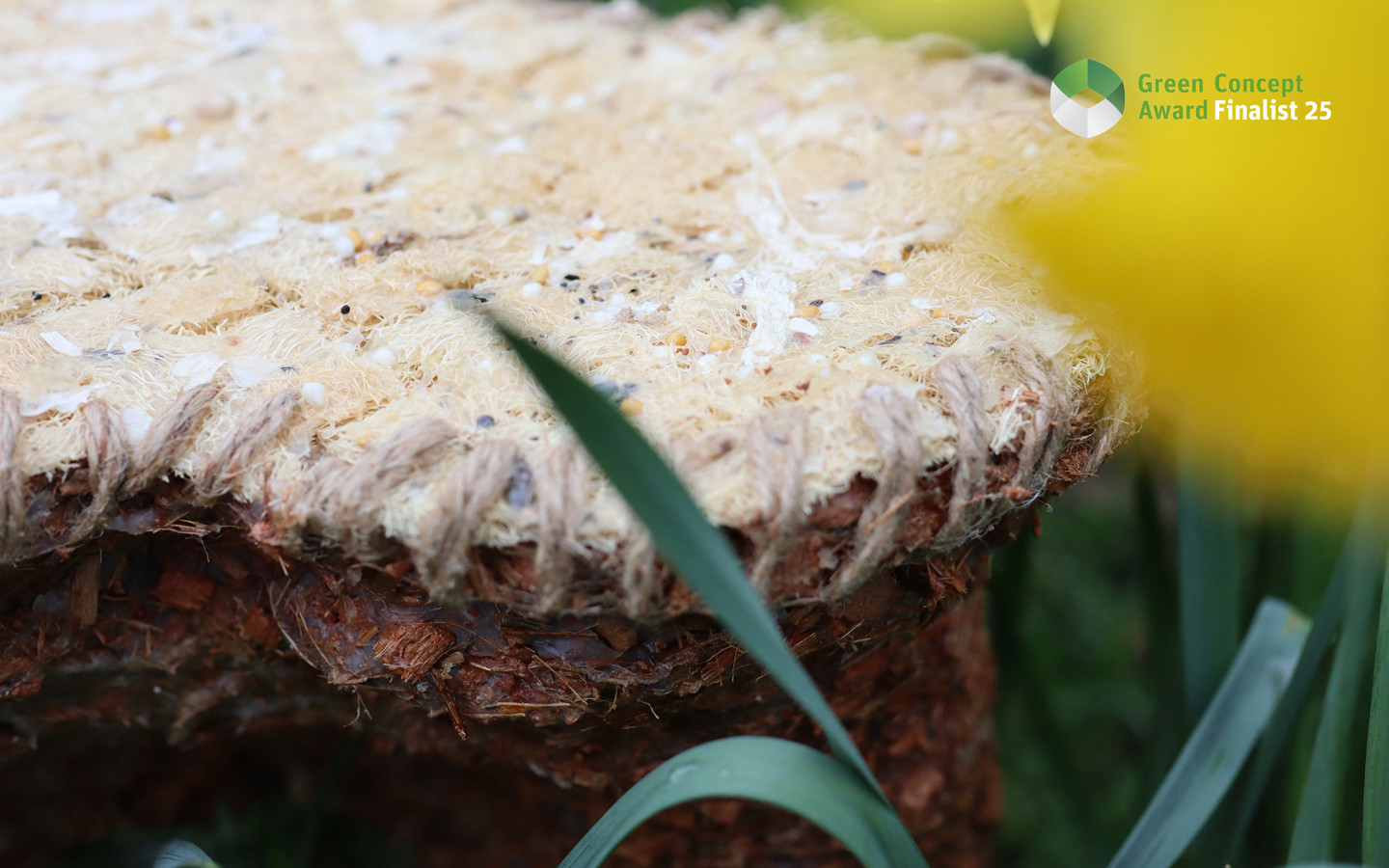 Blooming Decay Stool