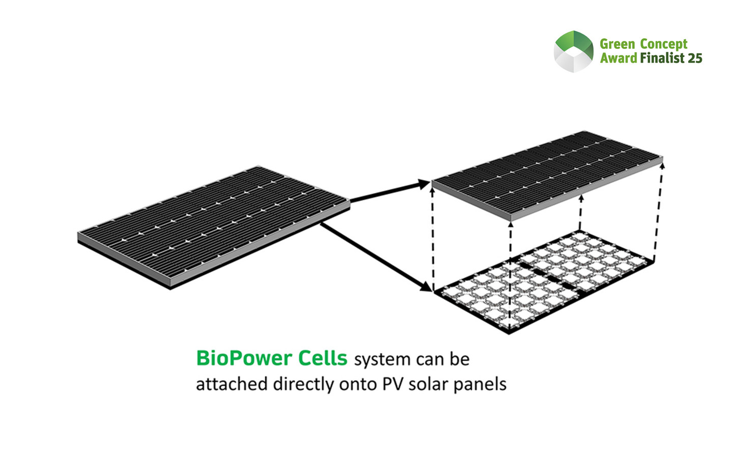 BioPower Cell