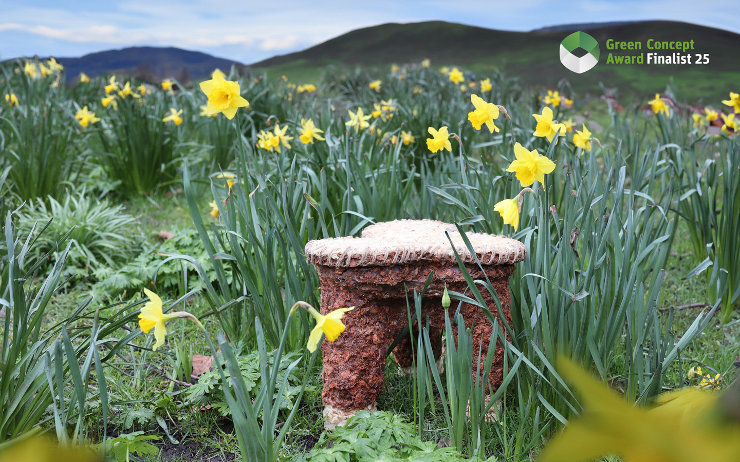 Blooming Decay Stool