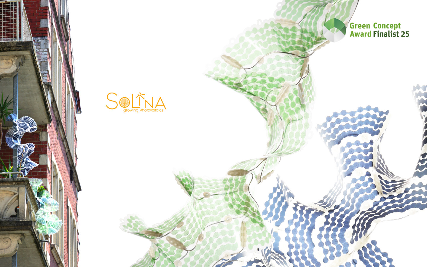 SOLINA