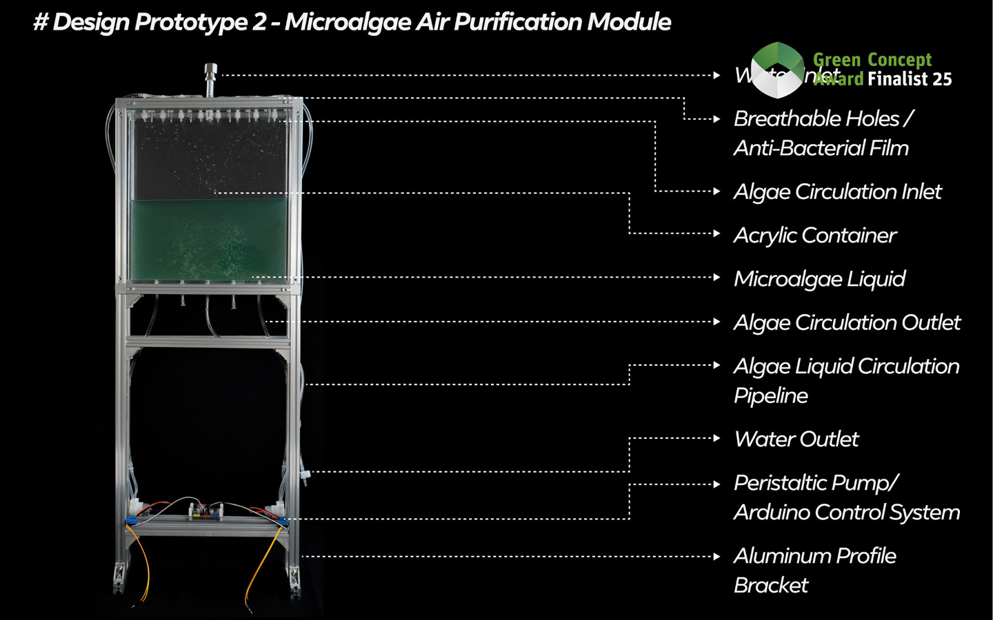 Algae-Symbiont