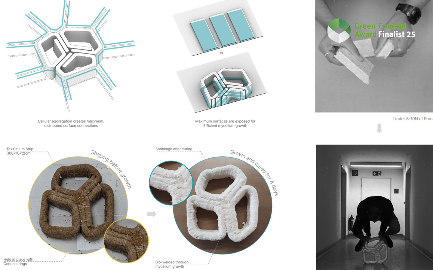 Living Tex'Celium